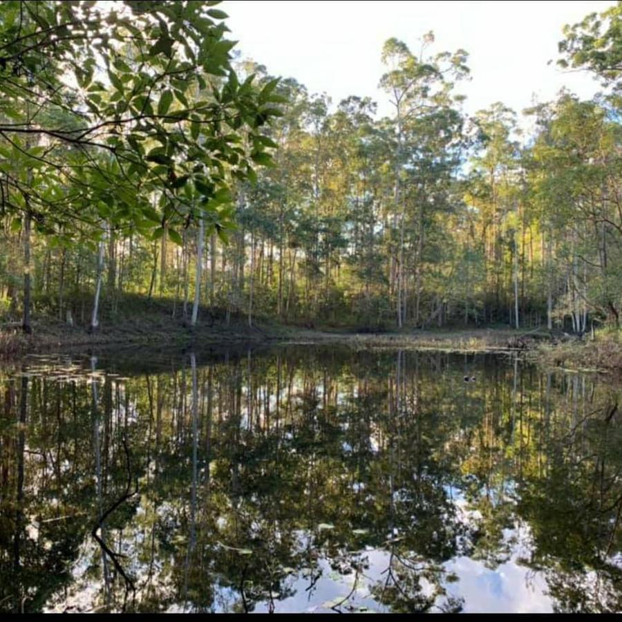 Oakey Creek Country Retreat Kenilworth Konuk evi Gheerulla Dış mekan fotoğraf
